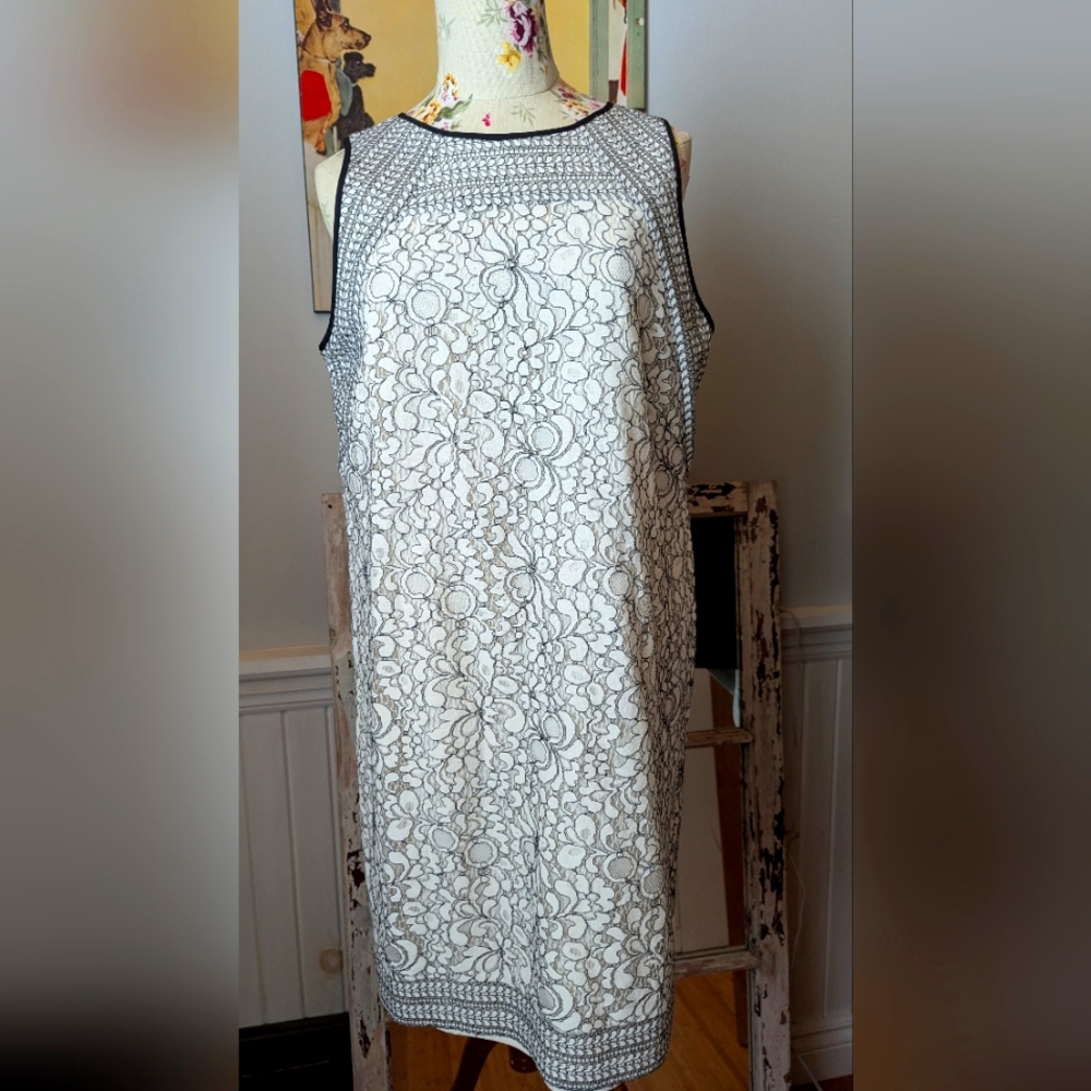 Loft by Ann Taylor Lace overlay dress